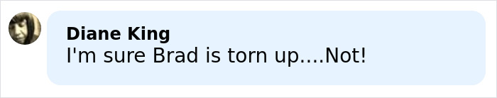 Comment by Diane King saying Brad is not torn up, related to Brad Pitt's kids sending brutal message about their relationship.