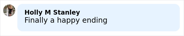 Comment saying finally a happy ending in a social media post about four missing kids returned to dad after mom’s abduction