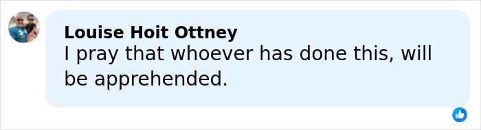 A social media comment expressing hope for justice related to the disappearance of Savannah Guthrie's mom.