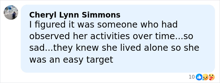 Comment discussing theory about disappearance of Savannah Guthrie's mom, highlighting concerns and speculation on the case.