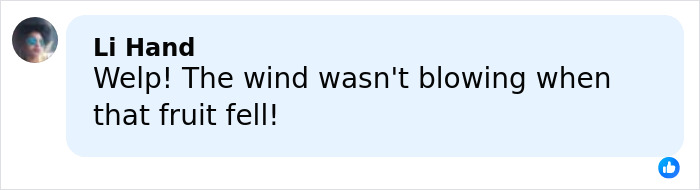 Comment by Li Hand discussing wind conditions related to a falling fruit, shown in a social media interface. Comment by Li Hand discussing wind conditions related to a falling fruit, shown in a social media interface.