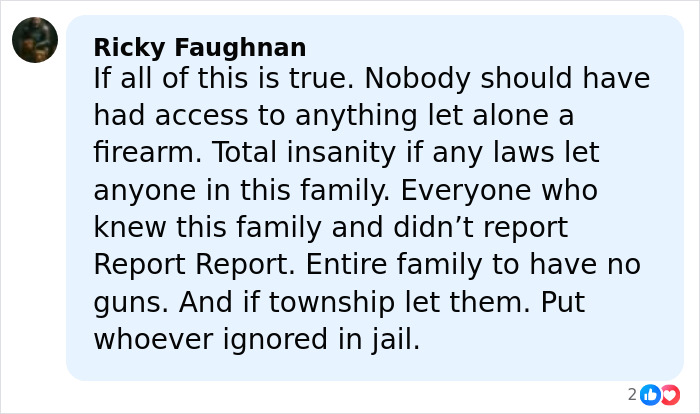 Comment by Ricky Faughnan expressing outrage over firearm access in Roberta Esposito's son disturbing criminal history after hockey game attack Comment by Ricky Faughnan expressing outrage over firearm access in Roberta Esposito's son disturbing criminal history after hockey game attack