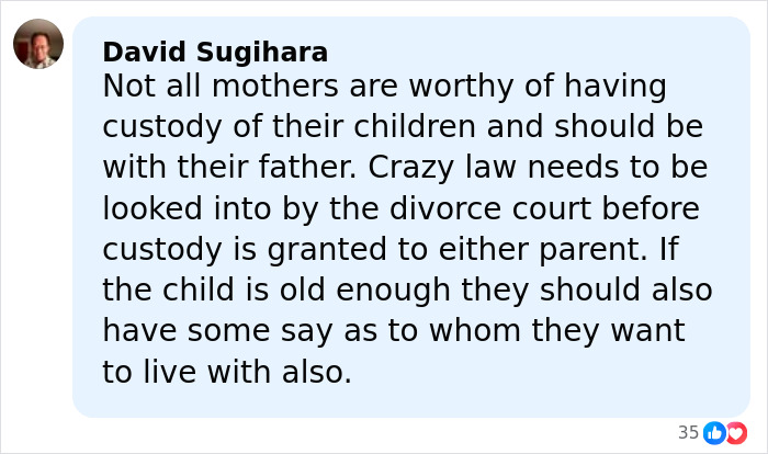 Comment about parent custody in a blue text box with a small profile picture and reaction icons below.