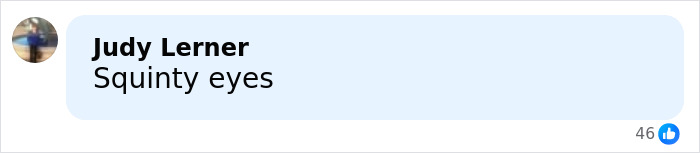 Screenshot of a social media comment by Judy Lerner saying Squinty eyes, related to Melania Trump poll discussion.