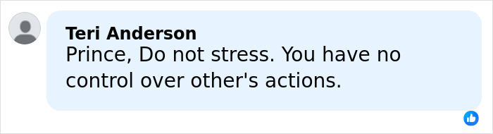 Comment from Teri Anderson advising Prince William not to stress or control others' actions, reflecting anxiety and tension themes.