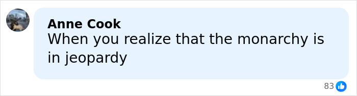 Comment by Anne Cook reading When you realize that the monarchy is in jeopardy, expressing concern about royal tension.