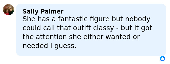 Comment from Sally Palmer discussing Heidi Klum's controversial Grammys dress and its attention-grabbing impact.