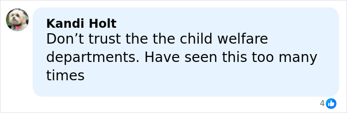 Comment from Kandi Holt expressing distrust in child welfare departments after multiple experiences shared online.