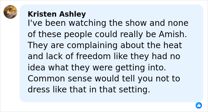 Comment criticizing people claiming to be Amish, questioning their understanding of Amish lifestyle and dress in Pennsylvania.