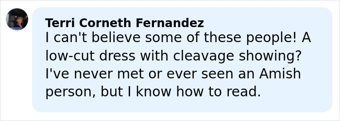 Commenter Terri Corneth Fernandez reacts to a low-cut dress while mentioning Amish community and their lifestyle.