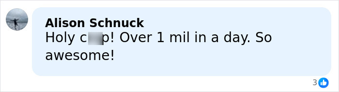 Facebook comment from Alison Schnuck praising a GoFundMe campaign for James Van Der Beek's family raising over 1 million dollars.