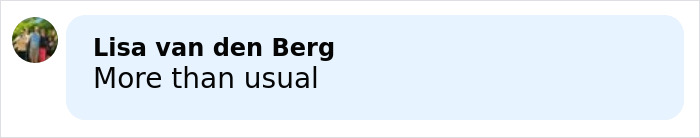 Bianca Censori steps out in wild fashion wearing a lingerie top, showcasing bold and daring style choices.