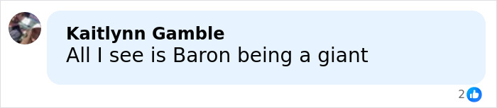 Comment saying all I see is Baron being a giant before Trump&rsquo;s State of the Union speech distracting viewers.