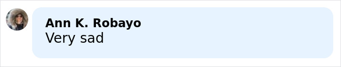 Comment by Ann K. Robayo expressing sympathy with text very sad in a light blue message bubble.
