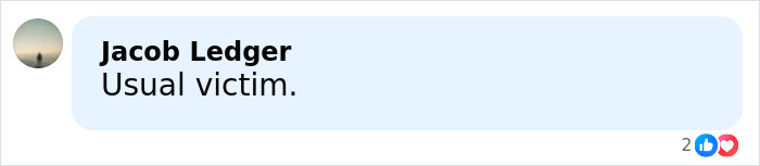 Comment on social media post addressing Florida man who vanished and was found trapped in the mud with brief user reaction text.