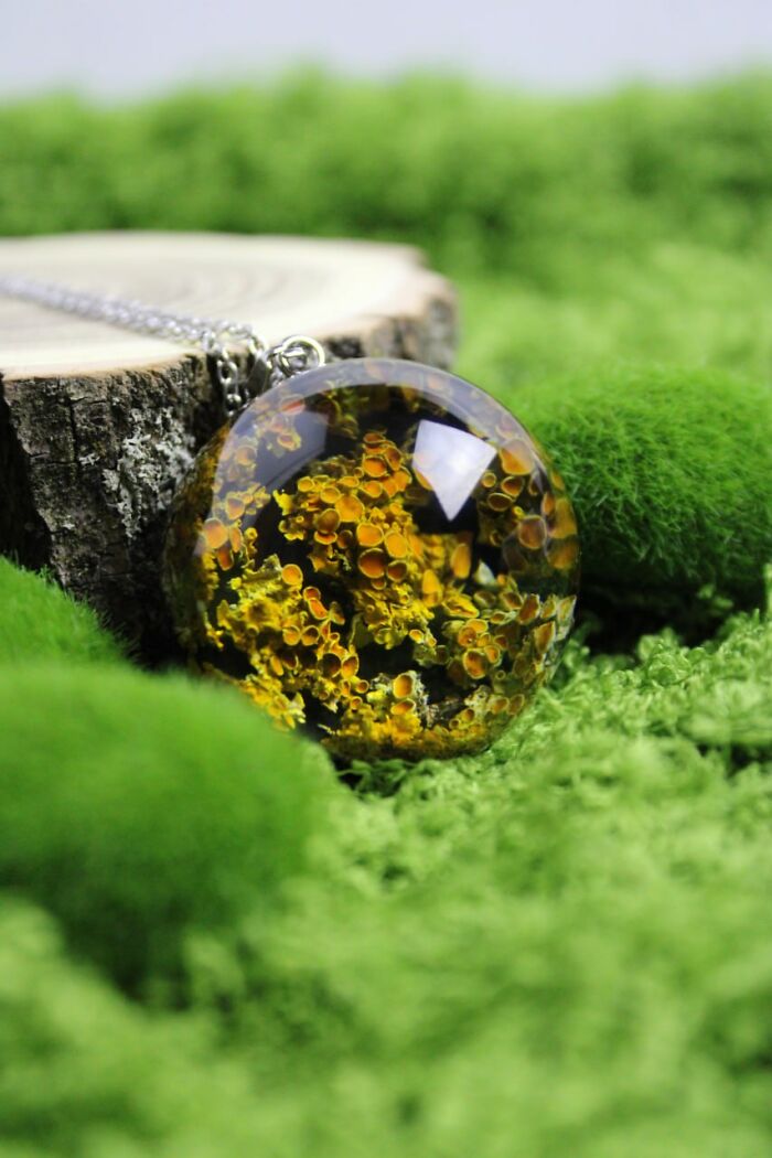 The 'Coral Of The Forest'