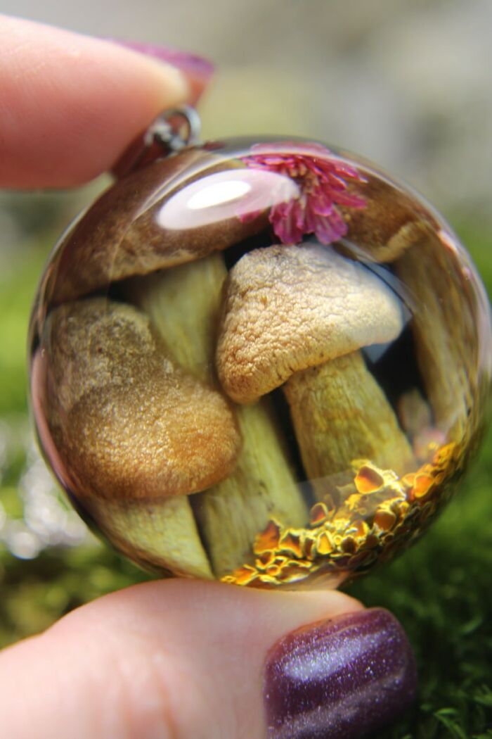 A Portal To The Forest Floor