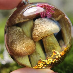 Oleksandra Fomchenko