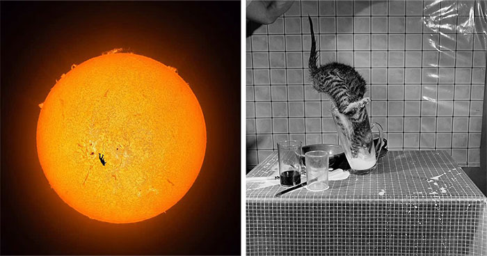 37 Fascinating Photos That Prove Timing Is Everything (New Pics)