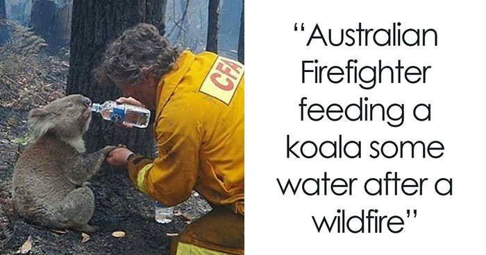 Kindness, Joy And Compassion Still Exist In This World As These 37 Pics Prove