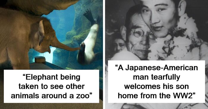 Kindness, Joy And Compassion Still Exist In This World As These 37 Pics Prove