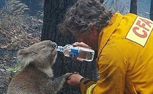 35 Wholesome Pics Showing That There’s Still Good In The World