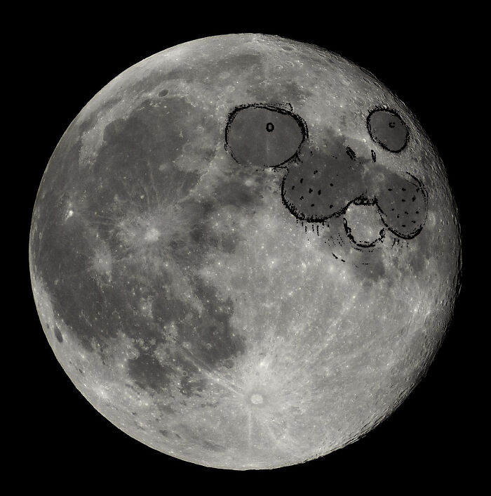 Full moon with a humorous dog face sketch, reflecting funny and harmless conspiracy theories to lighten up the mood.