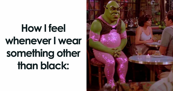 50 Random Memes That Might Make The Day Feel A Bit Lighter