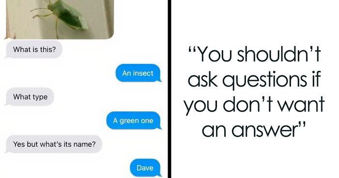 The Funniest Posts From Delusions Of Adequacy That Make Chaos Look Genius (New Pics)