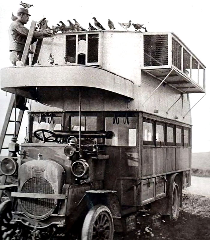 Vintage bus with a man tending pigeons on the roof, showcasing a rare and intriguing historical moment.