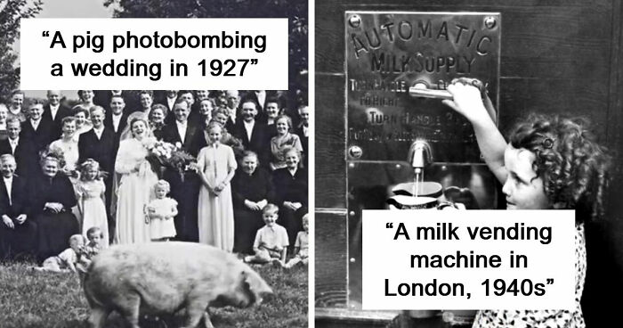 77 Fascinating Historical Photos That Reveal A Side Of The Past People Forget About