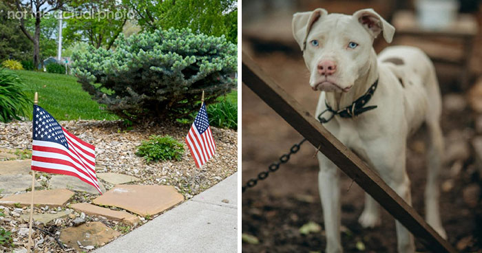 Someone Asked, “What’s A Red Flag When You Visit Someone’s House?” And 43 People Didn’t Hold Back