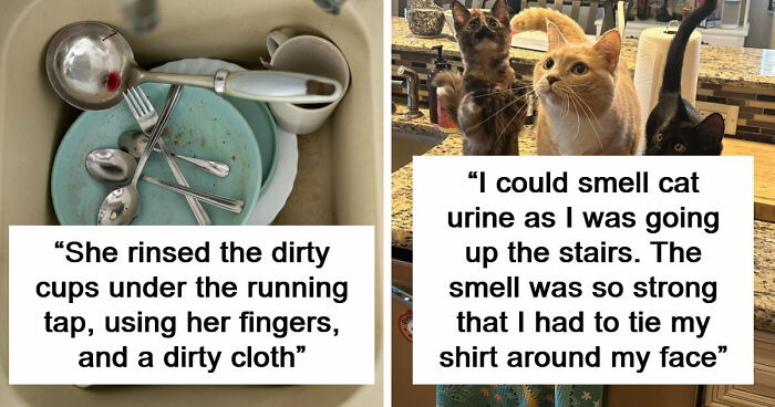 43 People Share Red Flags That They Always Look Out For In People’s Homes