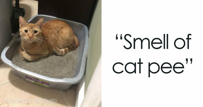 43 Red Flags That Scream ‘Turn Around And Leave’ In Someone’s Home