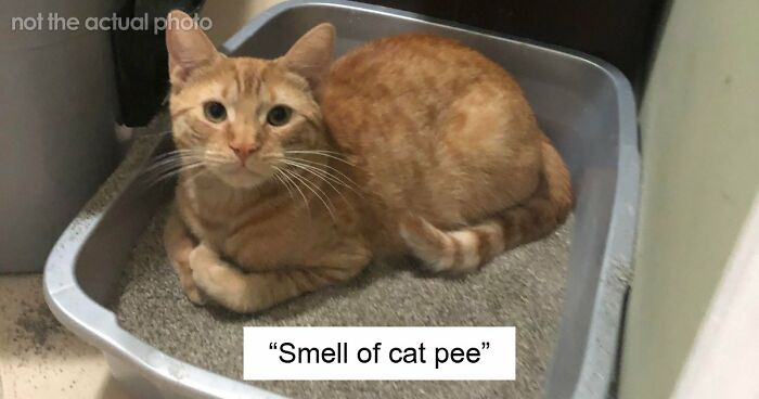 43 Red Flags That Scream ‘Turn Around And Leave’ In Someone’s Home