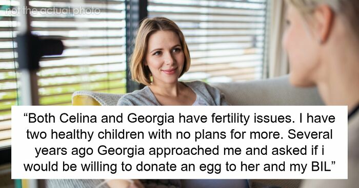 Woman’s Generous Egg Donation Leads To Adored Niece, But Refusal To Help Other SIL Ignites Drama
