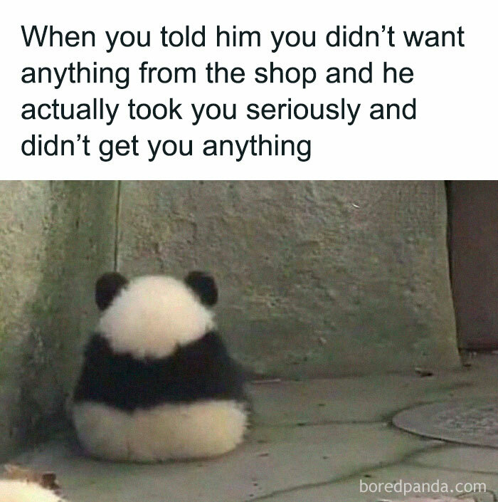 Sad panda sitting alone by a wall with funny and chaotic marriage meme about not getting anything from the shop.