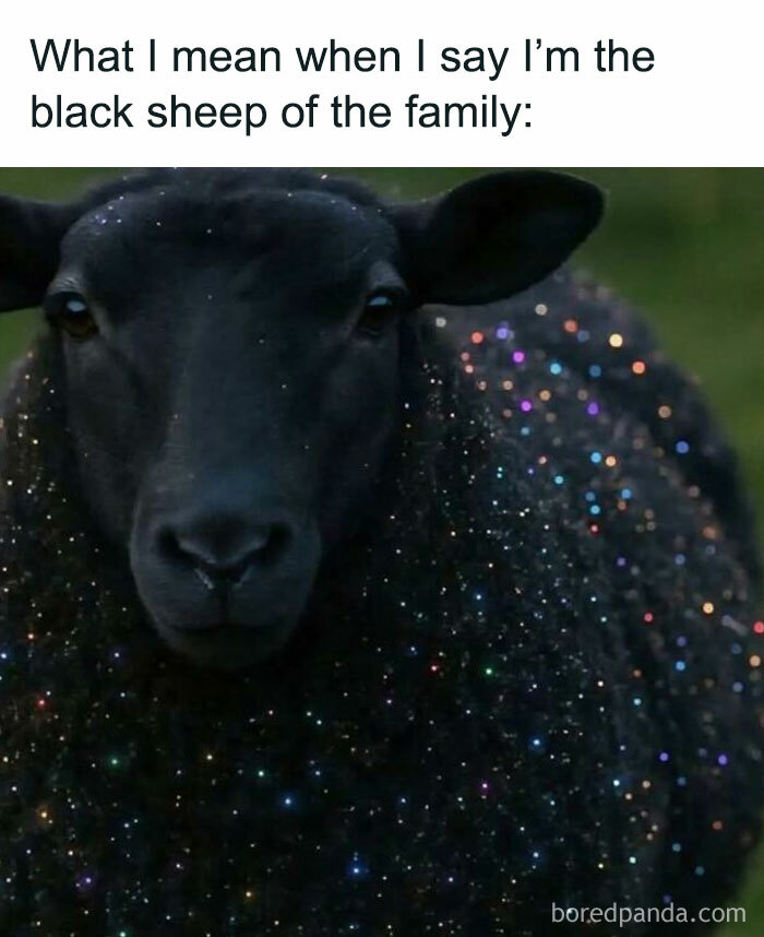 Black sheep covered in sparkling glitter representing modern adulthood struggles in everyday life meme.