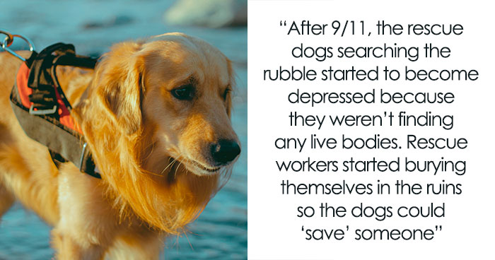 “There Are Over 300 Bodies On The Tops Of Mount Everest”: 42 Creepy Facts That Are Anything But Fun