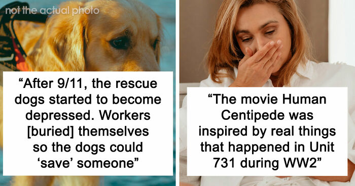 “There Are Over 300 Bodies On The Tops Of Mount Everest”: 42 Creepy Facts That Are Anything But Fun