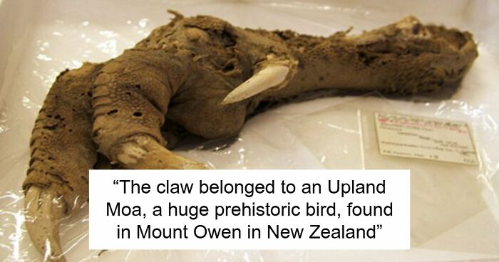 “The First Leper”: 38Times Archaeologists Dug Up Something Straight Out Of A Nightmare