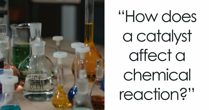 “Can You Still Pass School Today?”: Try These 35 Questions From Different Subjects - 25