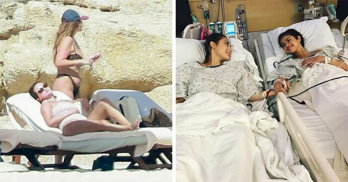 49 “Accidental Renaissance” Pics Of Different Animals That Capture Their Absurd And Adorable Nature