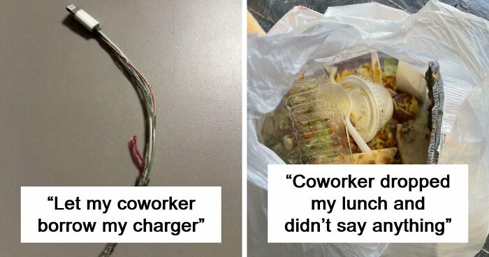 Some People Are Just Too Selfish And Stupid To Work With Others As These 49 Photos Show (New Pics)