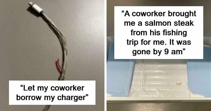 Some People Are Just Too Selfish And Stupid To Work With Others As These 49 Photos Show (New Pics)