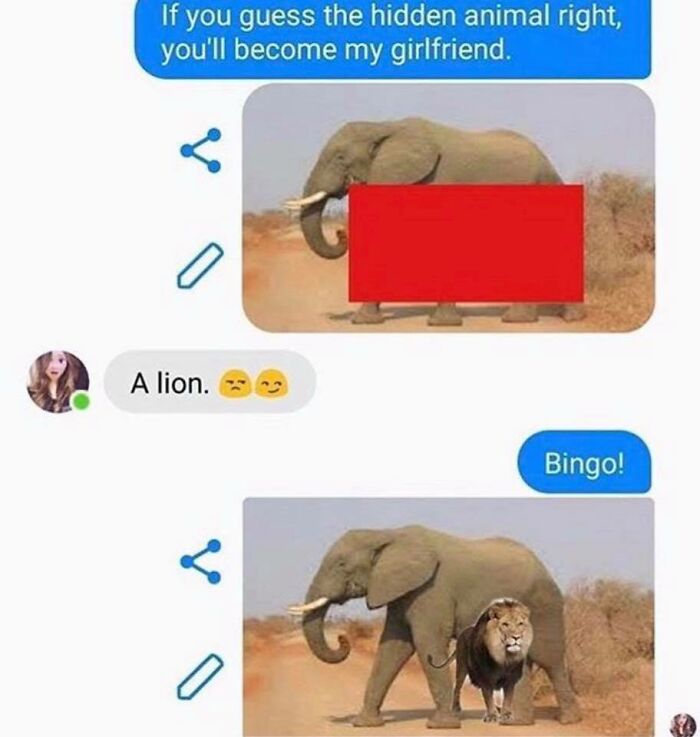 Funny text exchange about guessing hidden animals with an elephant and a lion in hilarious conversation screenshots