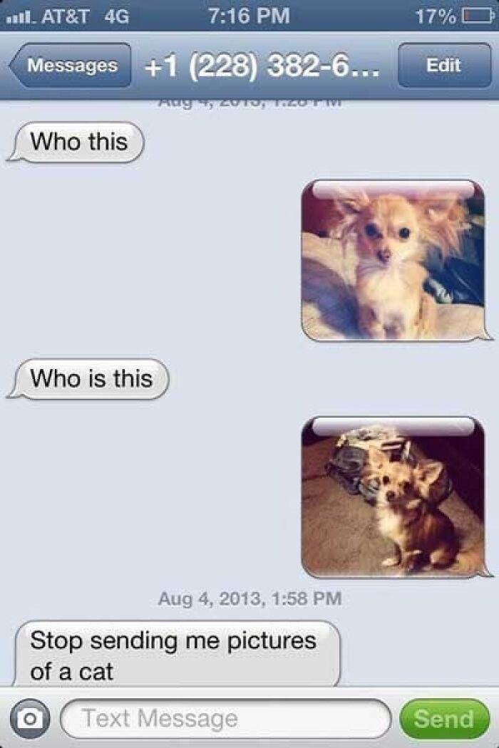 Text message exchange with funny confusion over dog pictures sent instead of a cat in hilarious screenshots of texts.