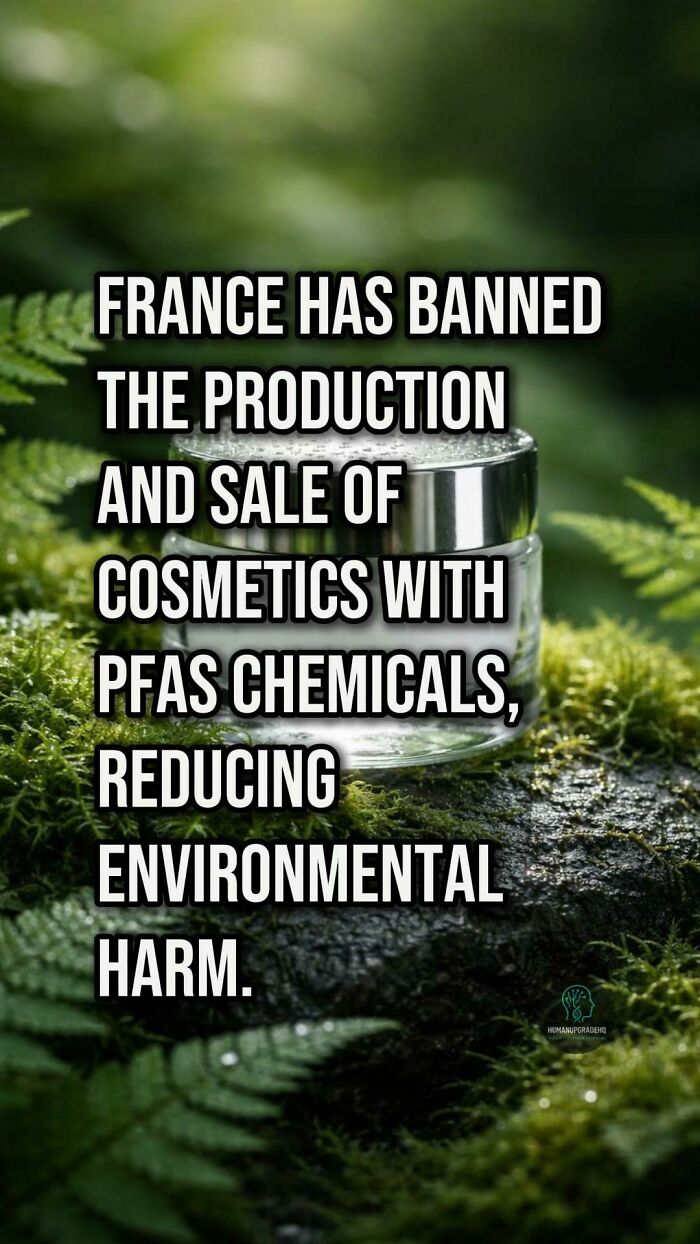 Jar of cosmetics on moss with text about France banning PFAS chemicals to reduce environmental harm, highlighting good things recently.