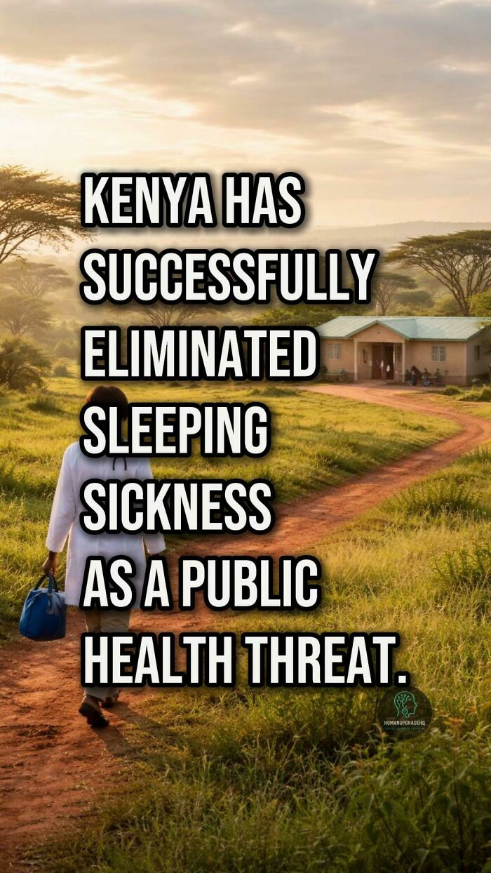 Kenya successfully eliminated sleeping sickness as a public health threat, one of the good things that happened recently.