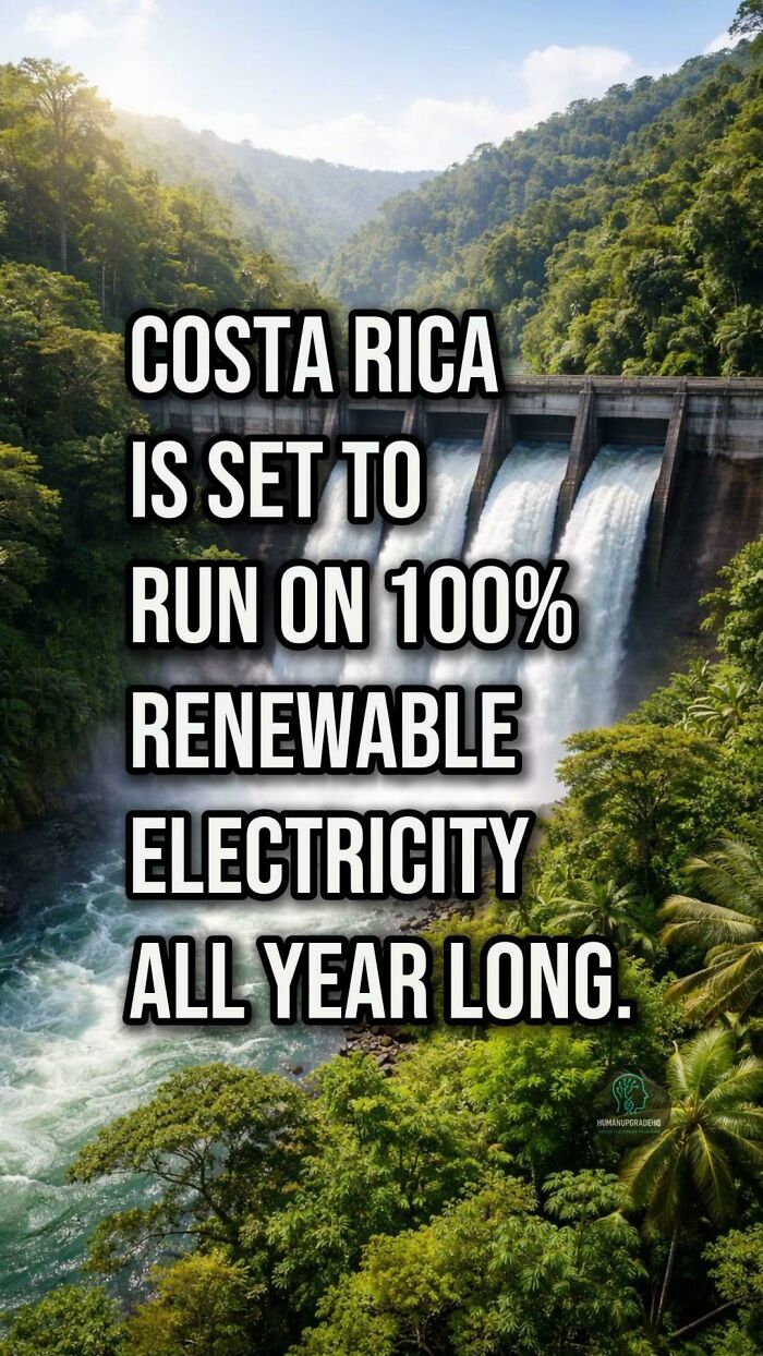 Hydroelectric dam in lush greenery representing good things happening with renewable electricity progress.